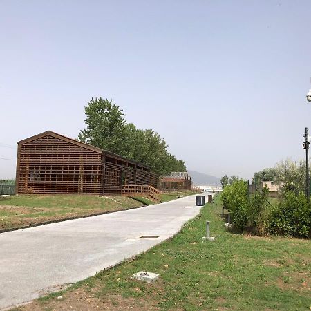 Bnb Nonna Maria Poggiomarino Dış mekan fotoğraf